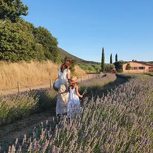 Le Giunchiglie Alberese